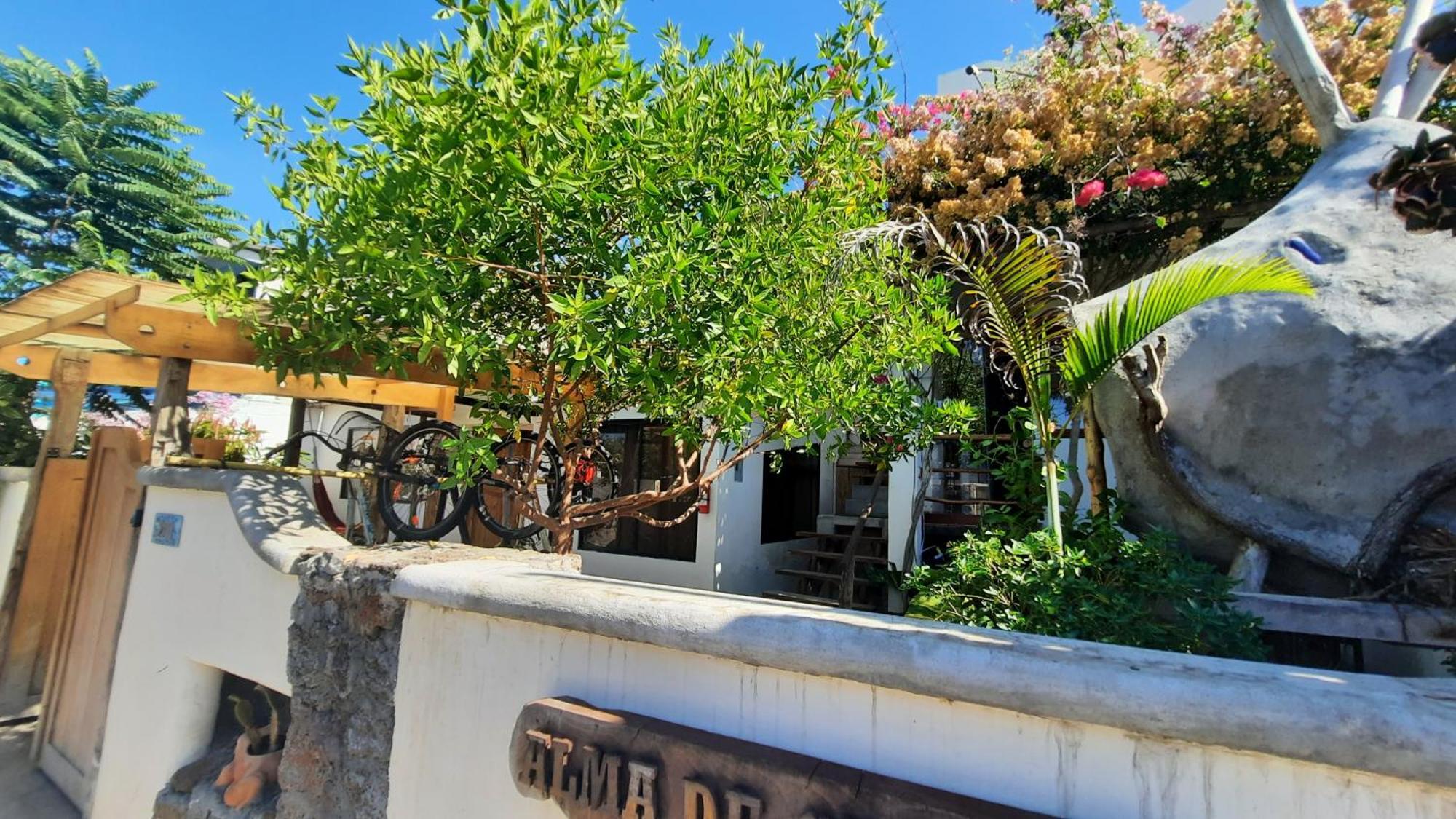 Alma De Cedrela Apartamento Puerto Ayora  Exterior foto